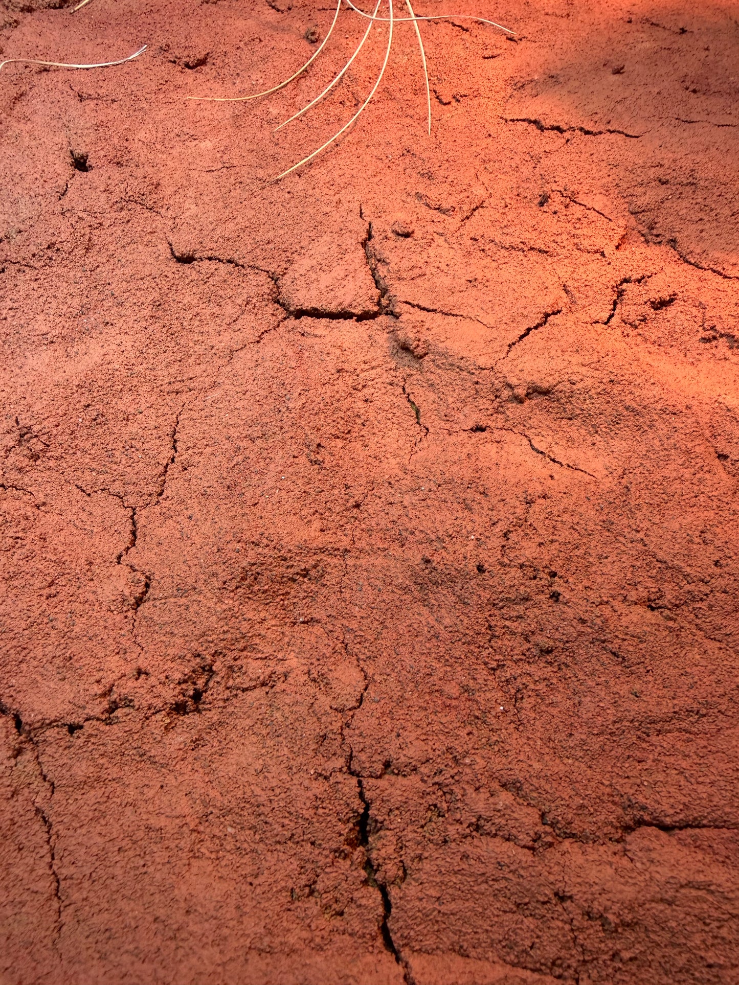 Australia - substrato naturale