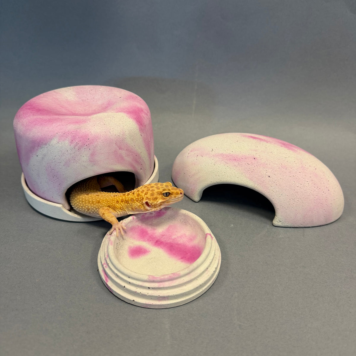 Edizione limitata - set completo M Variegato Amarena