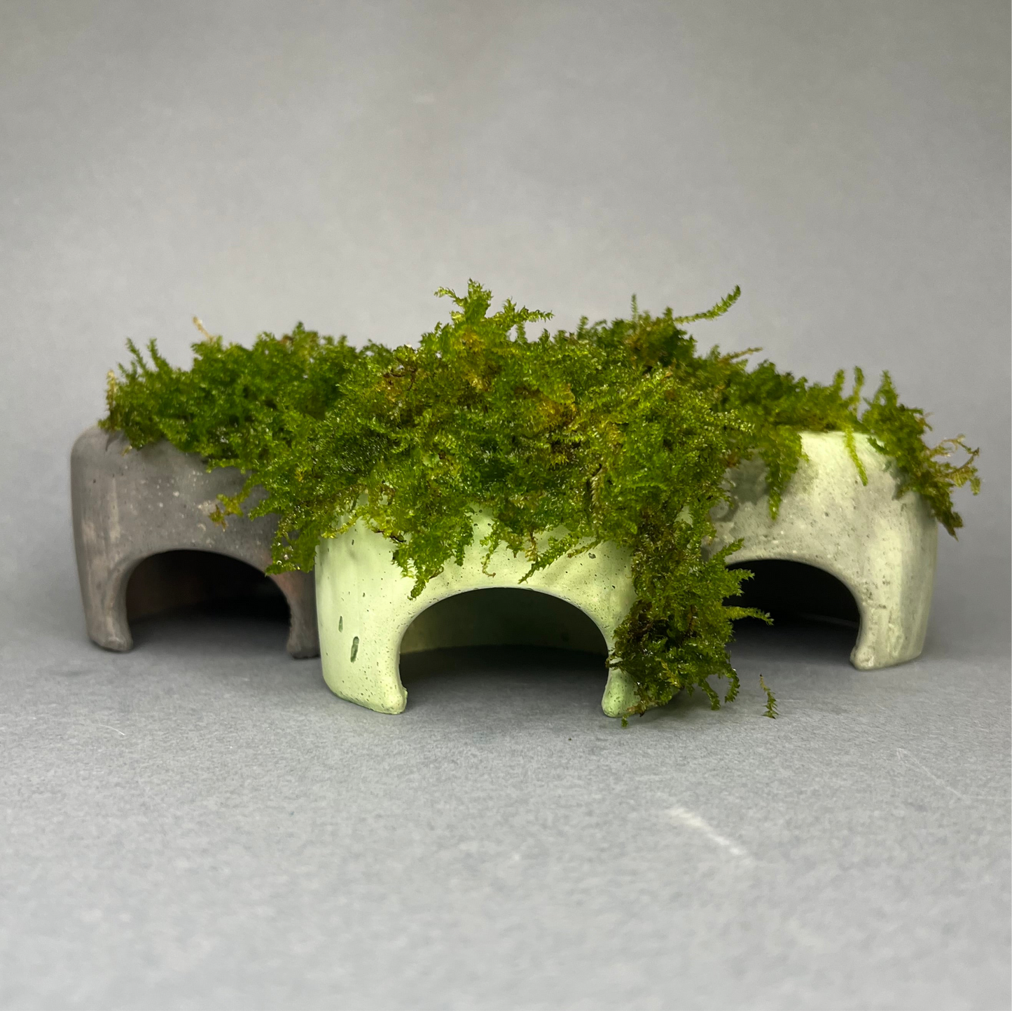 MOSSY STONE (S)