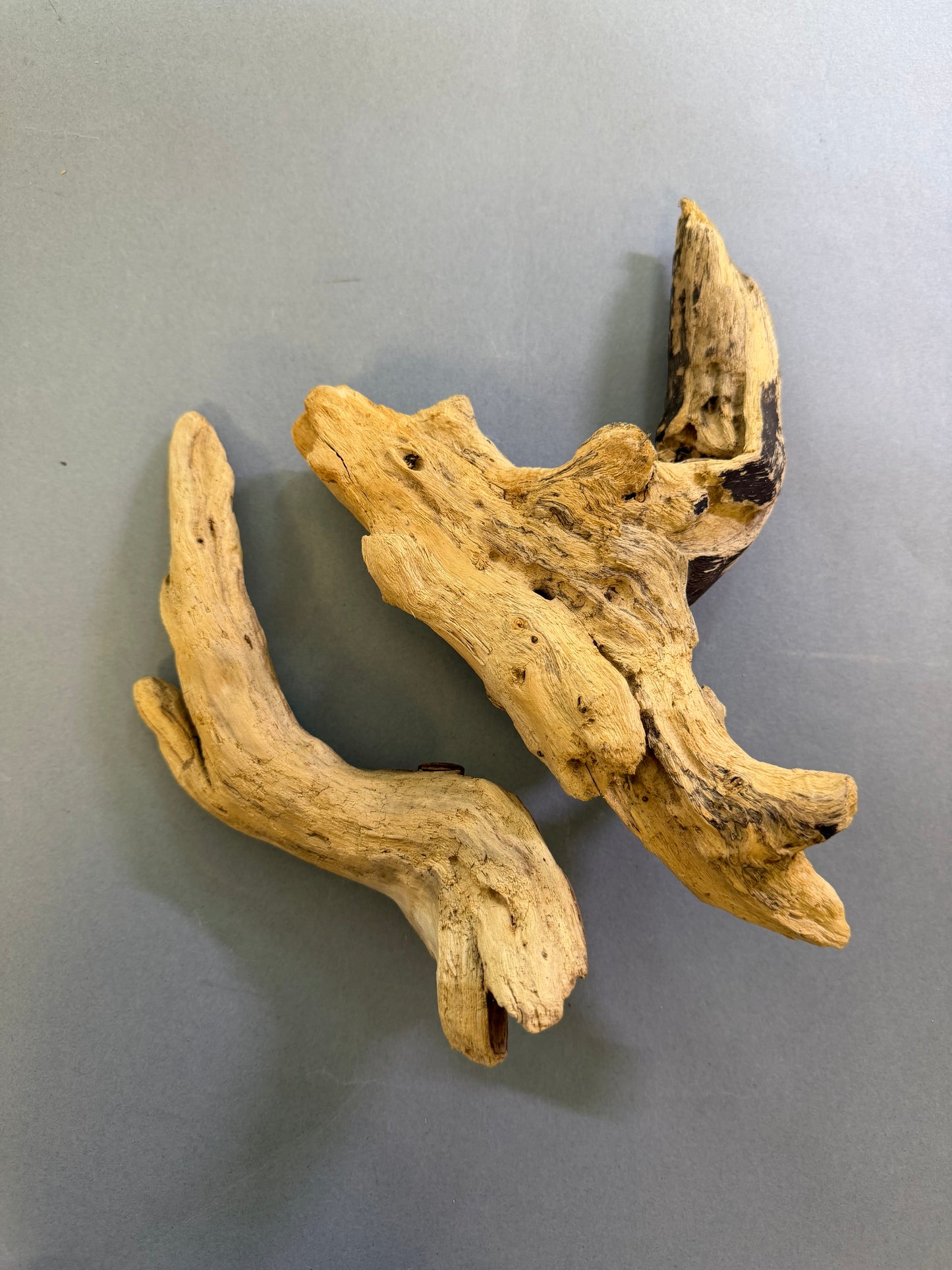Ramo coppia 10/18 cm