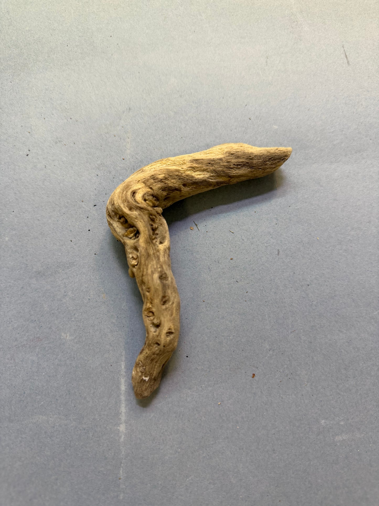 Ramo 5/8 cm
