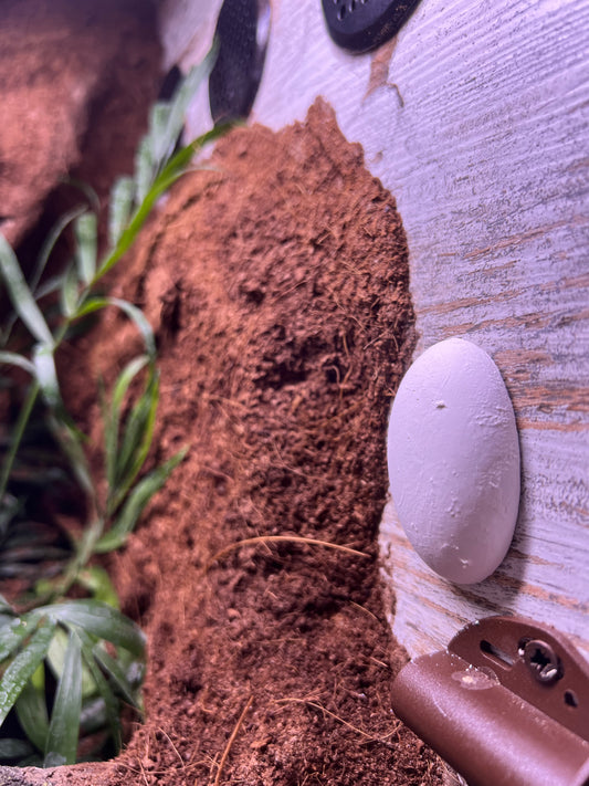 Calcium rock sospesa