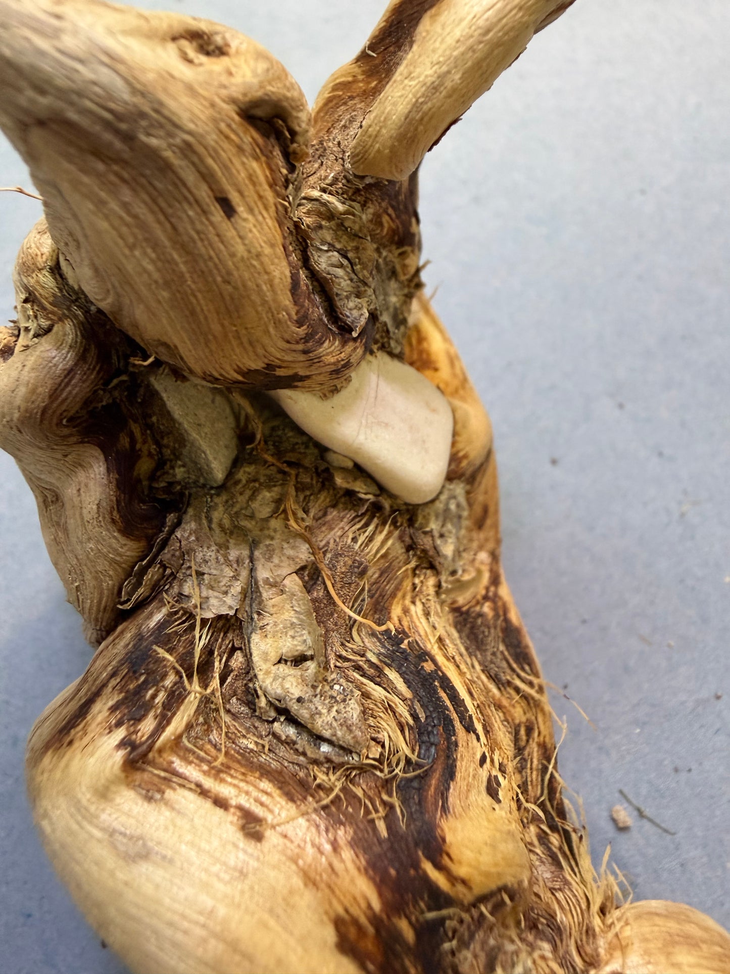 Ramo 5/8 cm