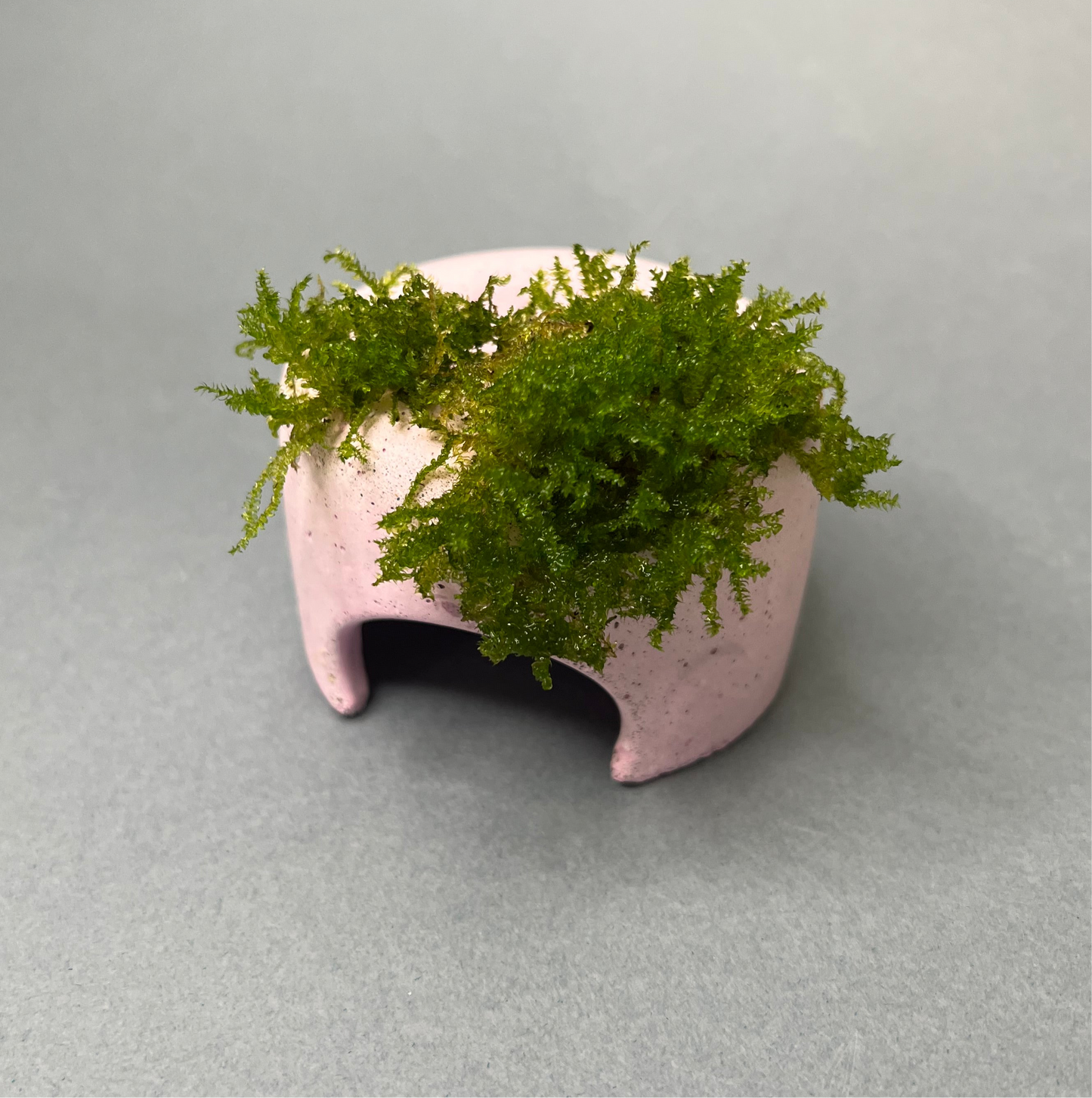MOSSY STONE (S)