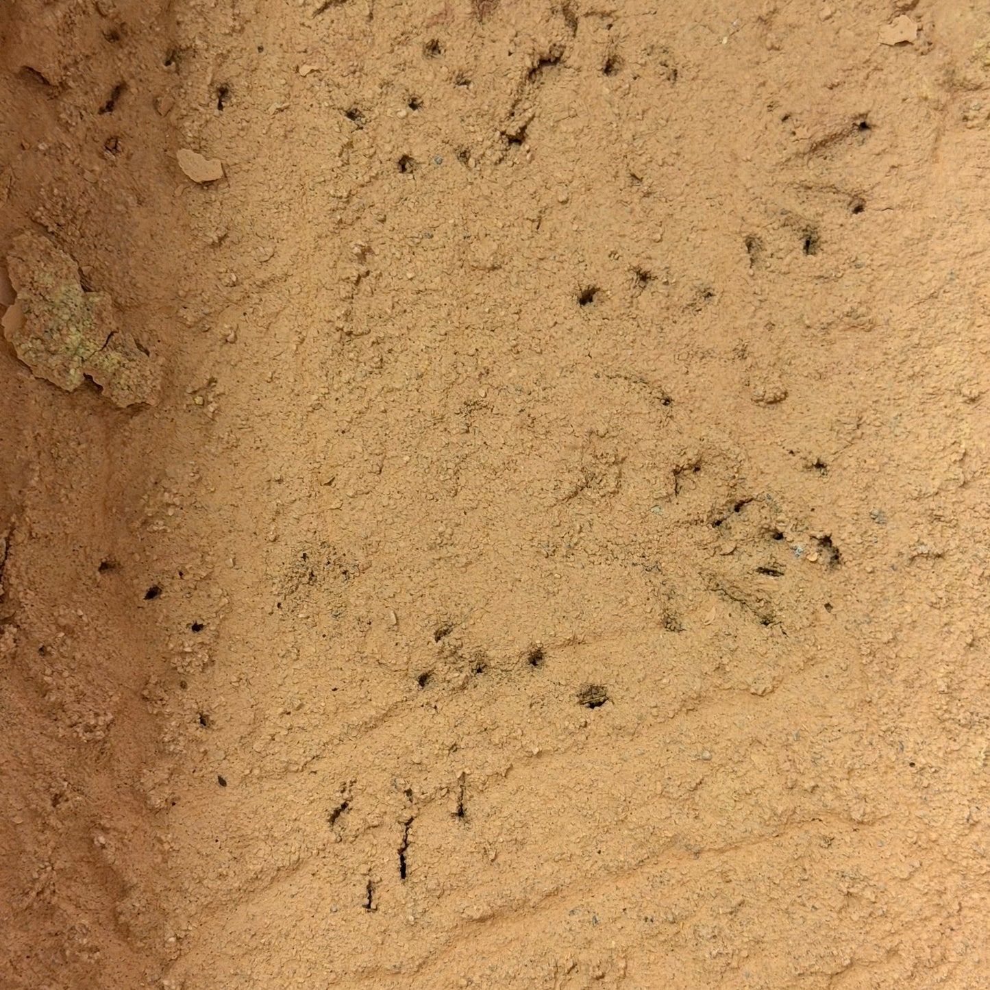 Australia - substrato naturale