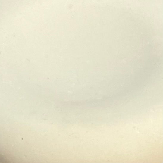 Ciotola L