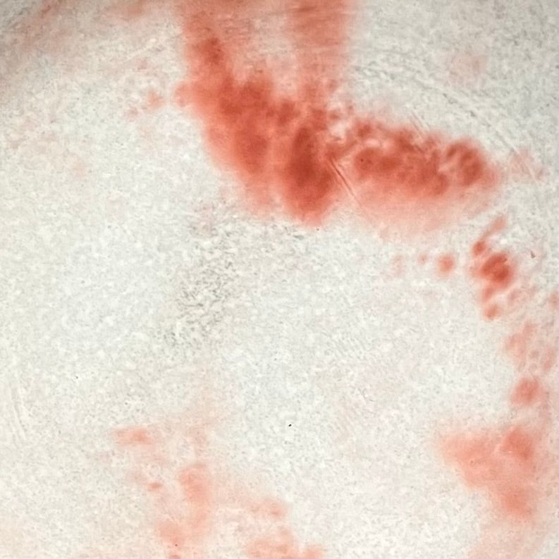 Ciotola S