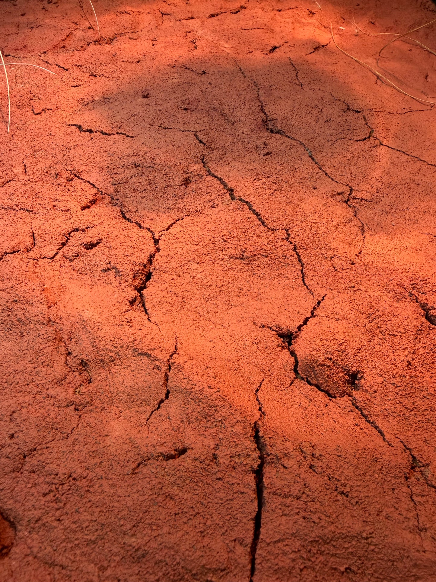 Australia - substrato naturale