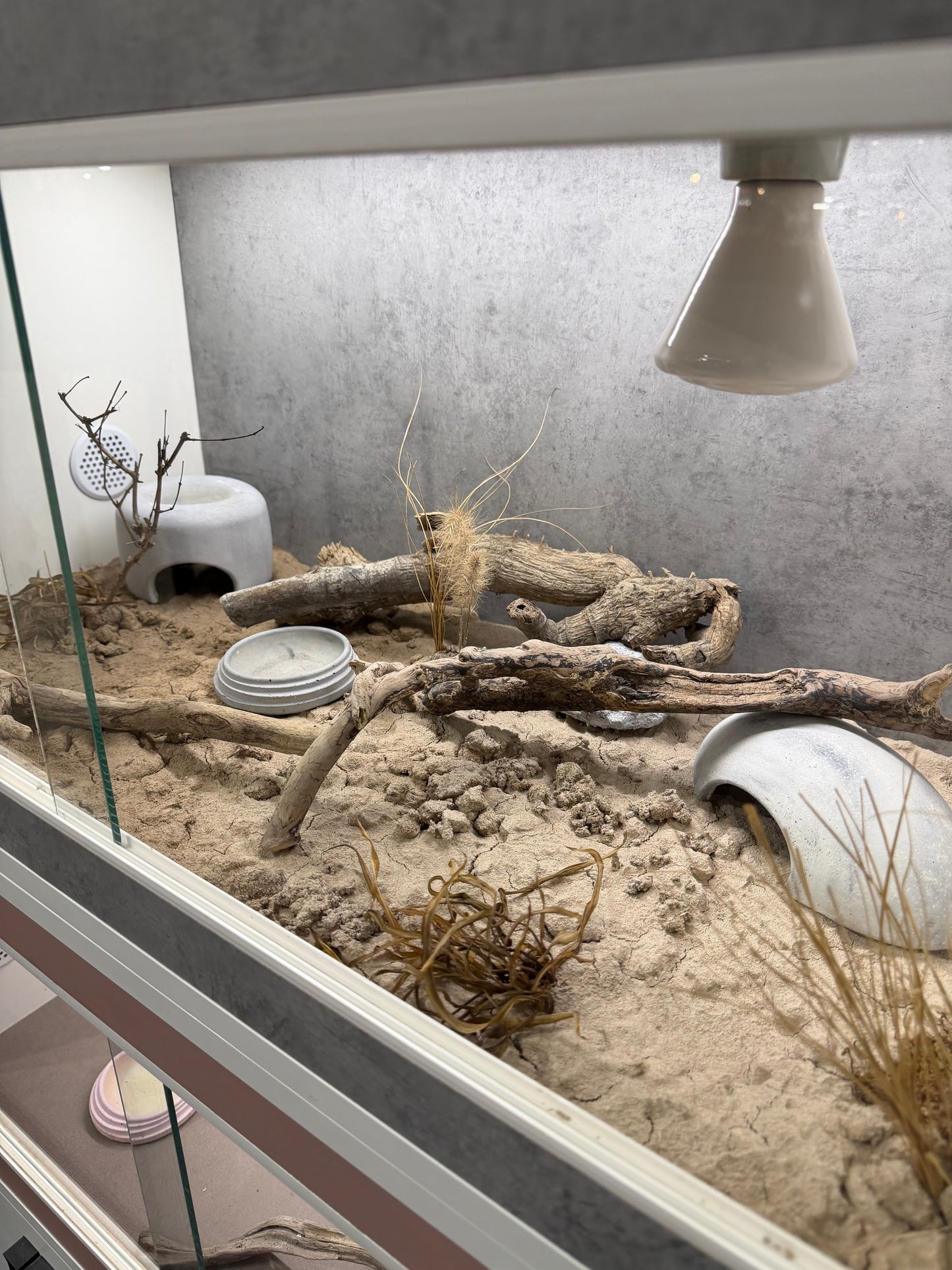 Afghanistan - substrato naturale