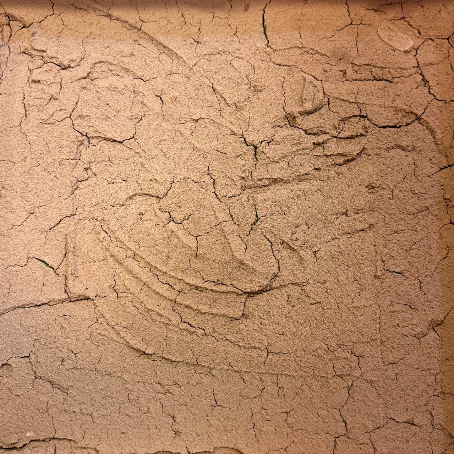 Australia - substrato naturale