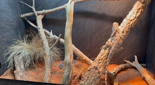 Australia - substrato naturale