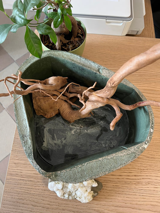 Mini pond - STAGNO