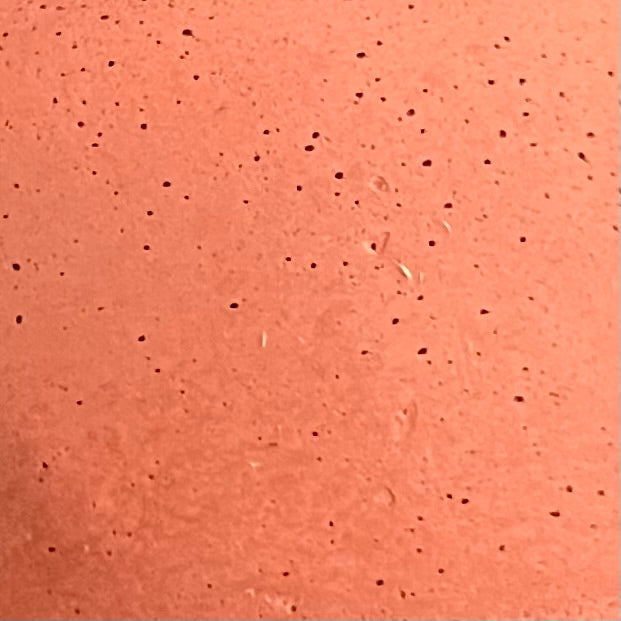 Ciotola L