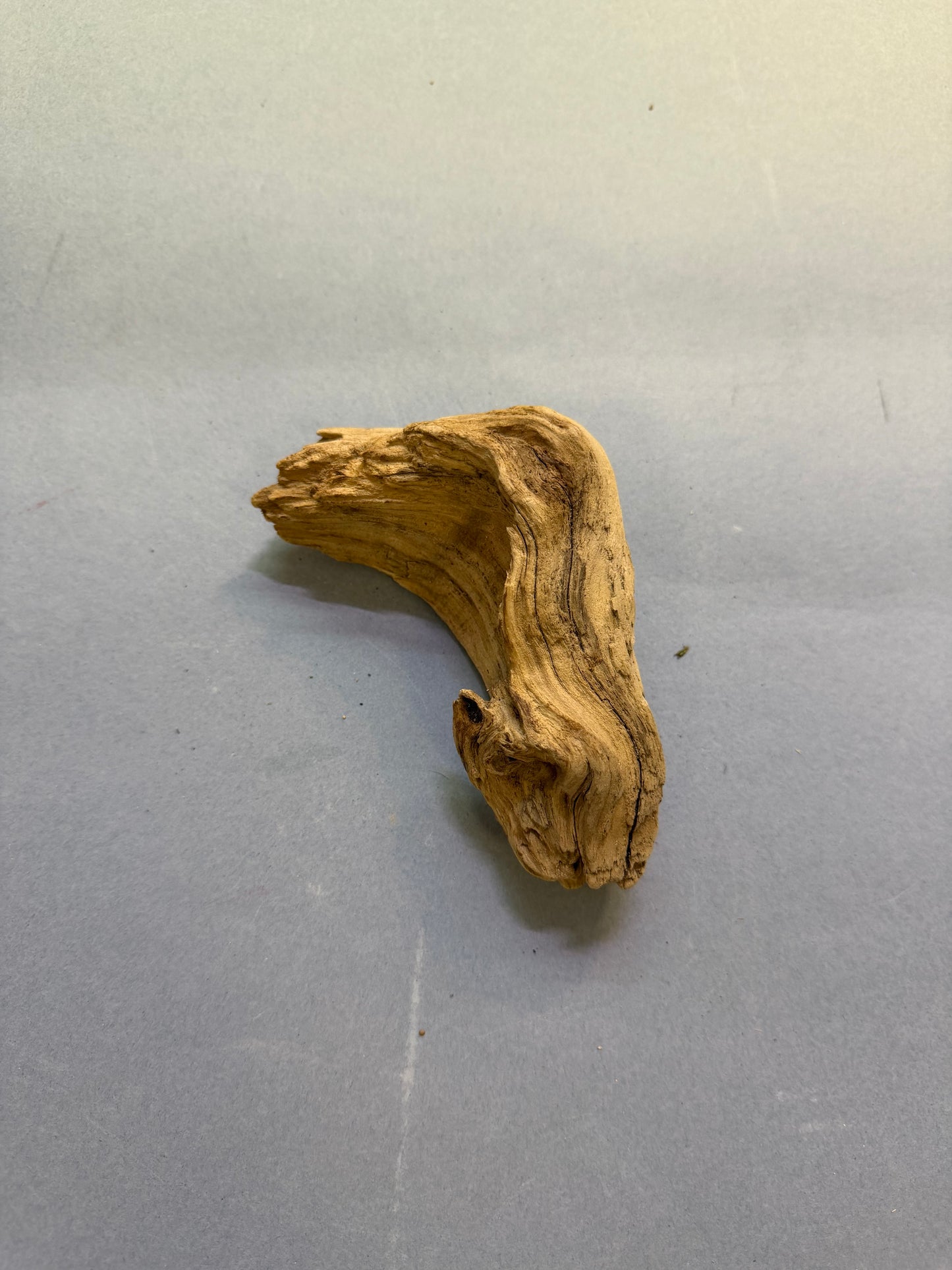 Ramo 5/8 cm
