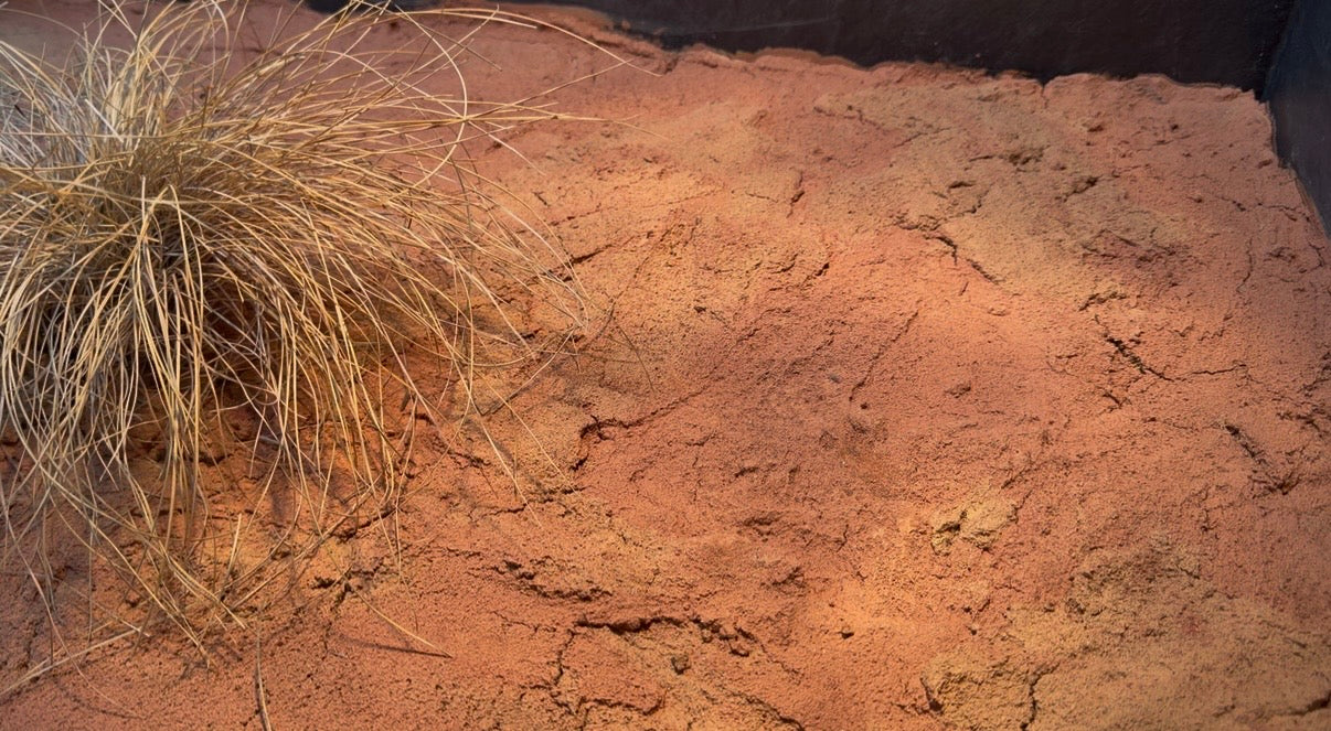 Australia - substrato naturale