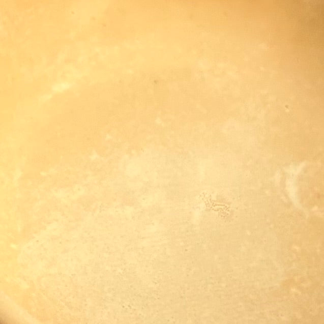 Ciotola L