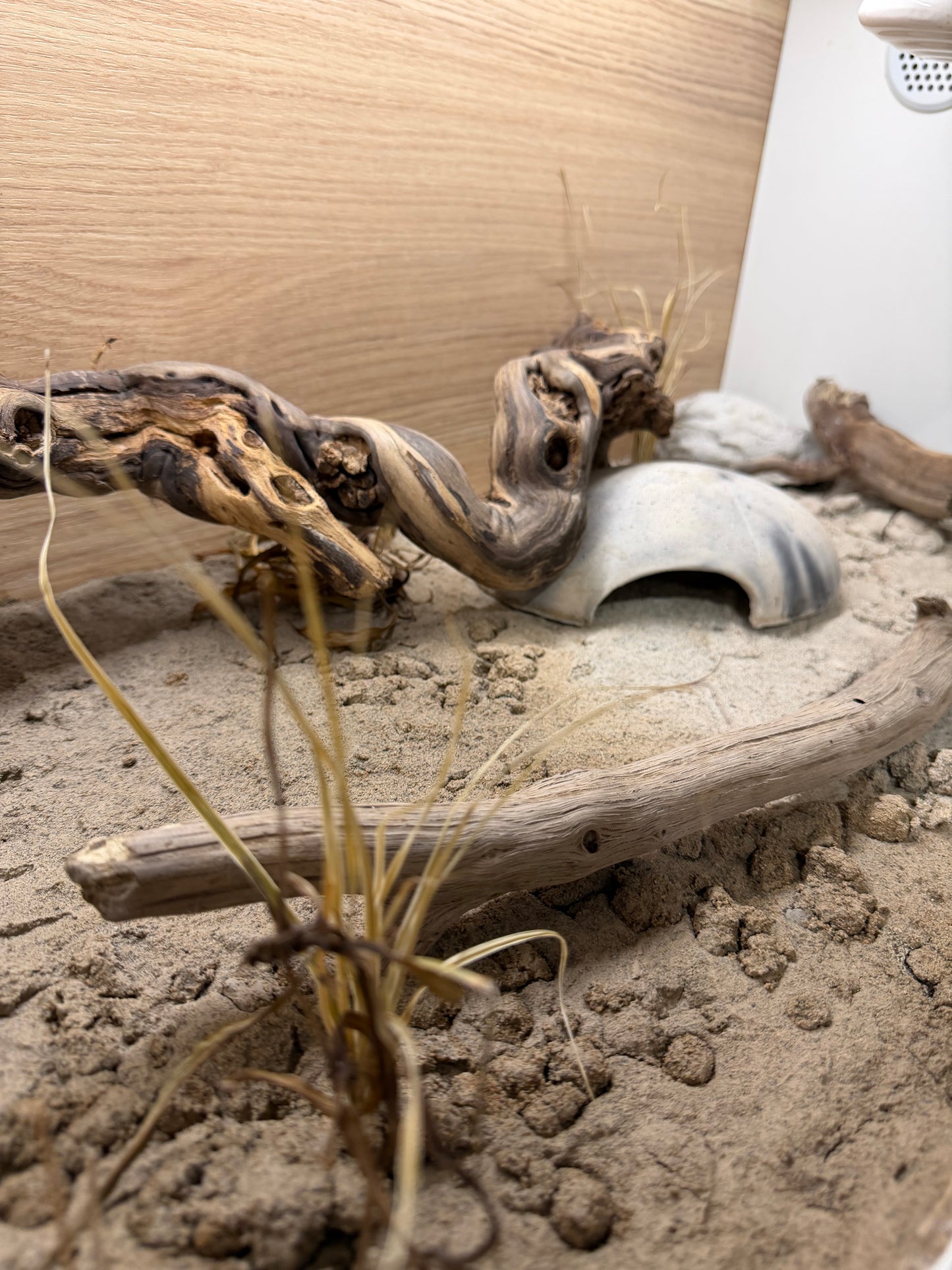 Afghanistan - substrato naturale