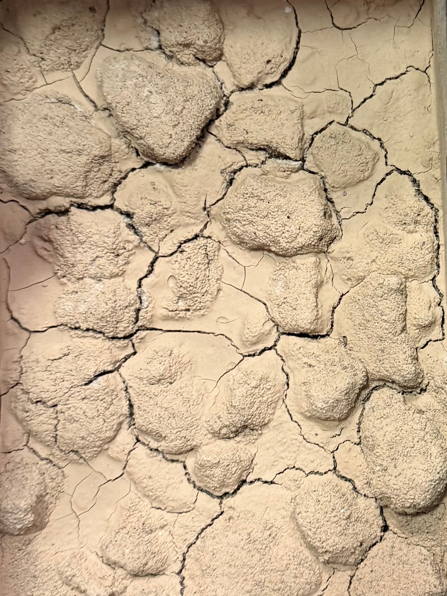 Afghanistan - substrato naturale