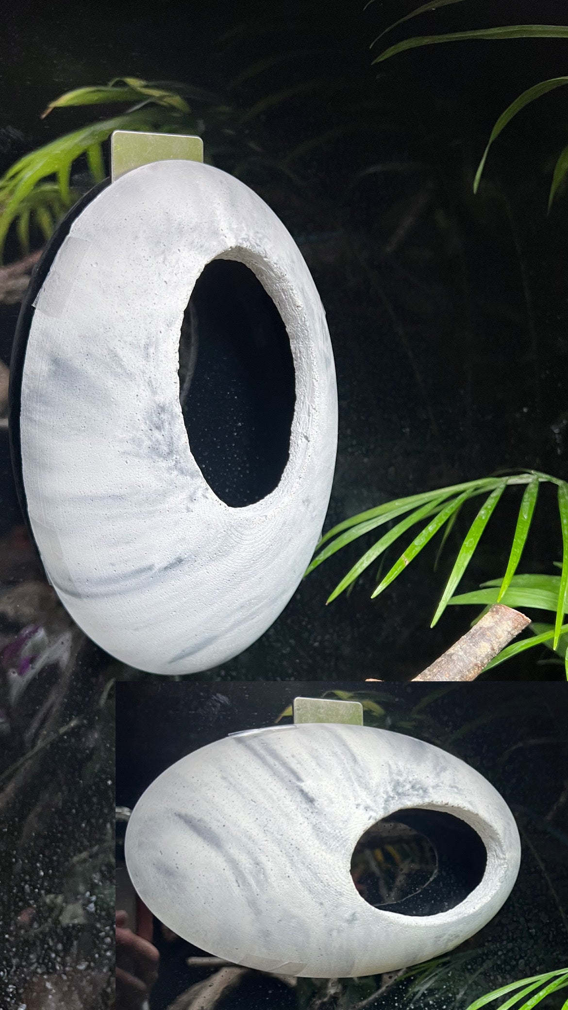 Tana Arborea