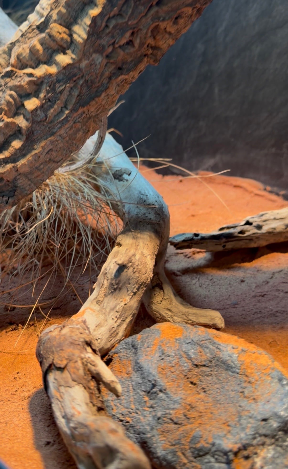 Australia - substrato naturale