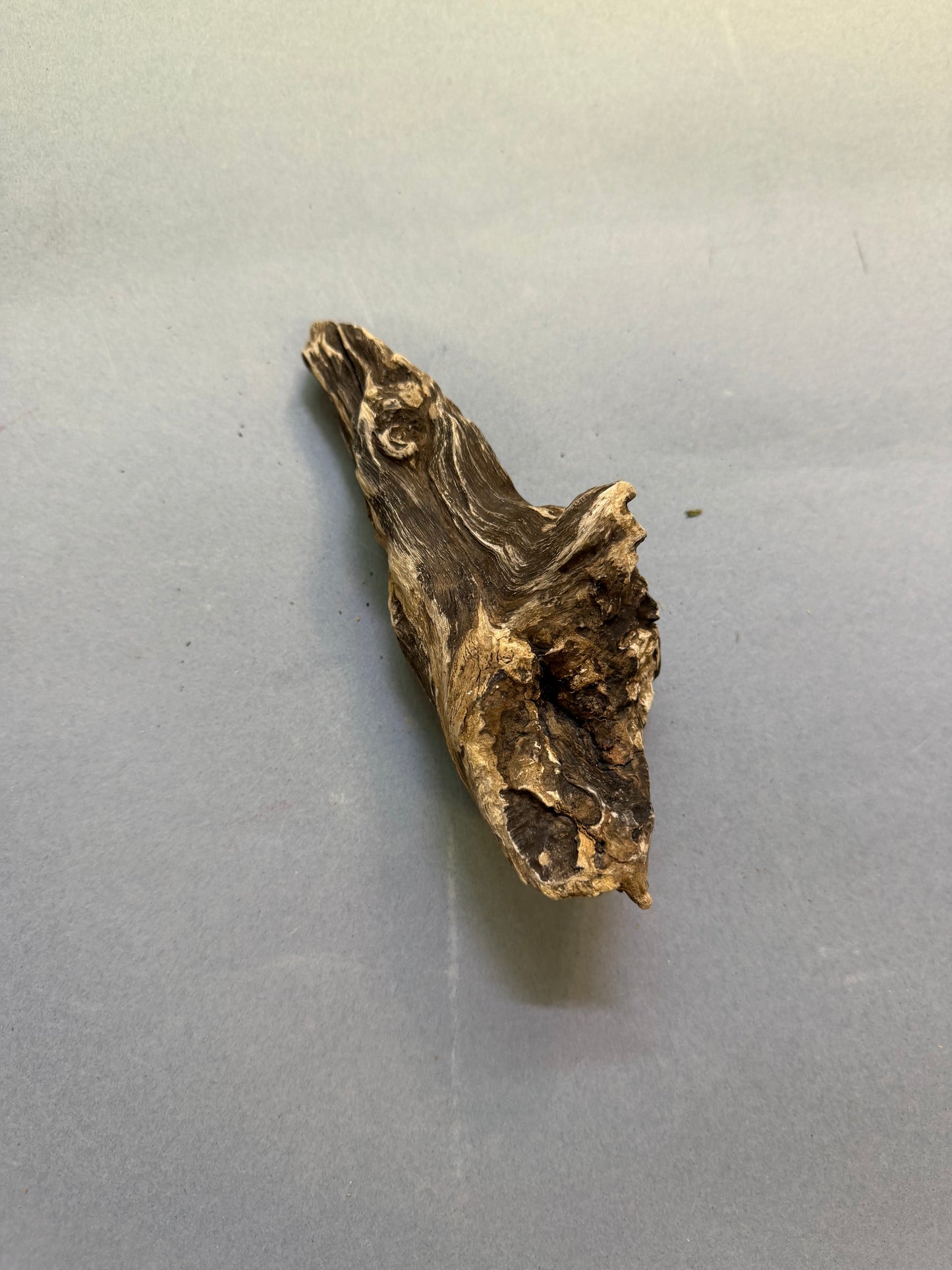Ramo 5/8 cm