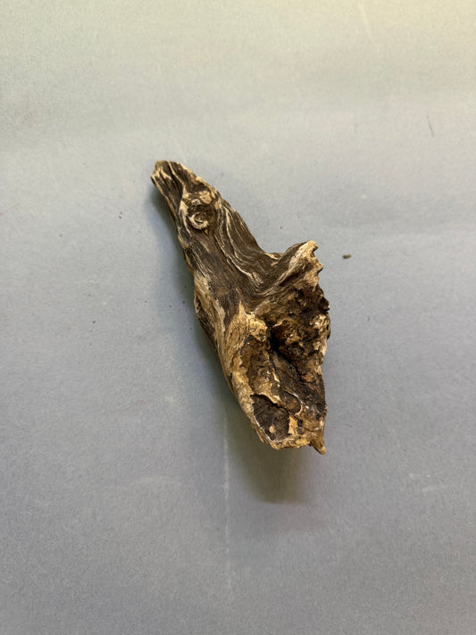 Ramo 5/8 cm