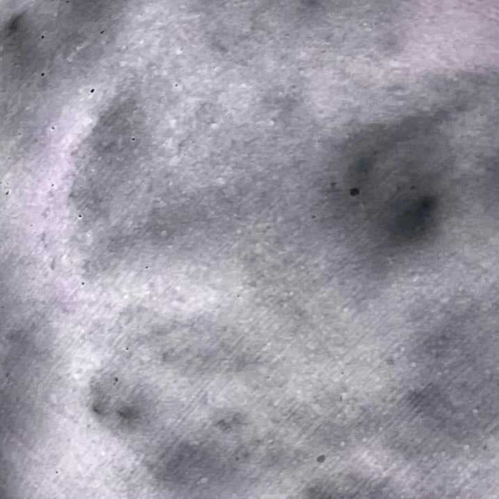 Ciotola L
