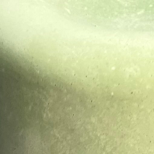 Ciotola L