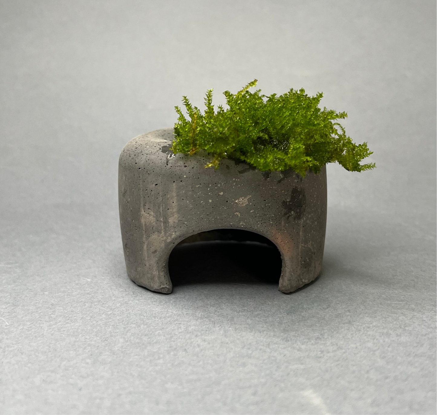MOSSY STONE (S)