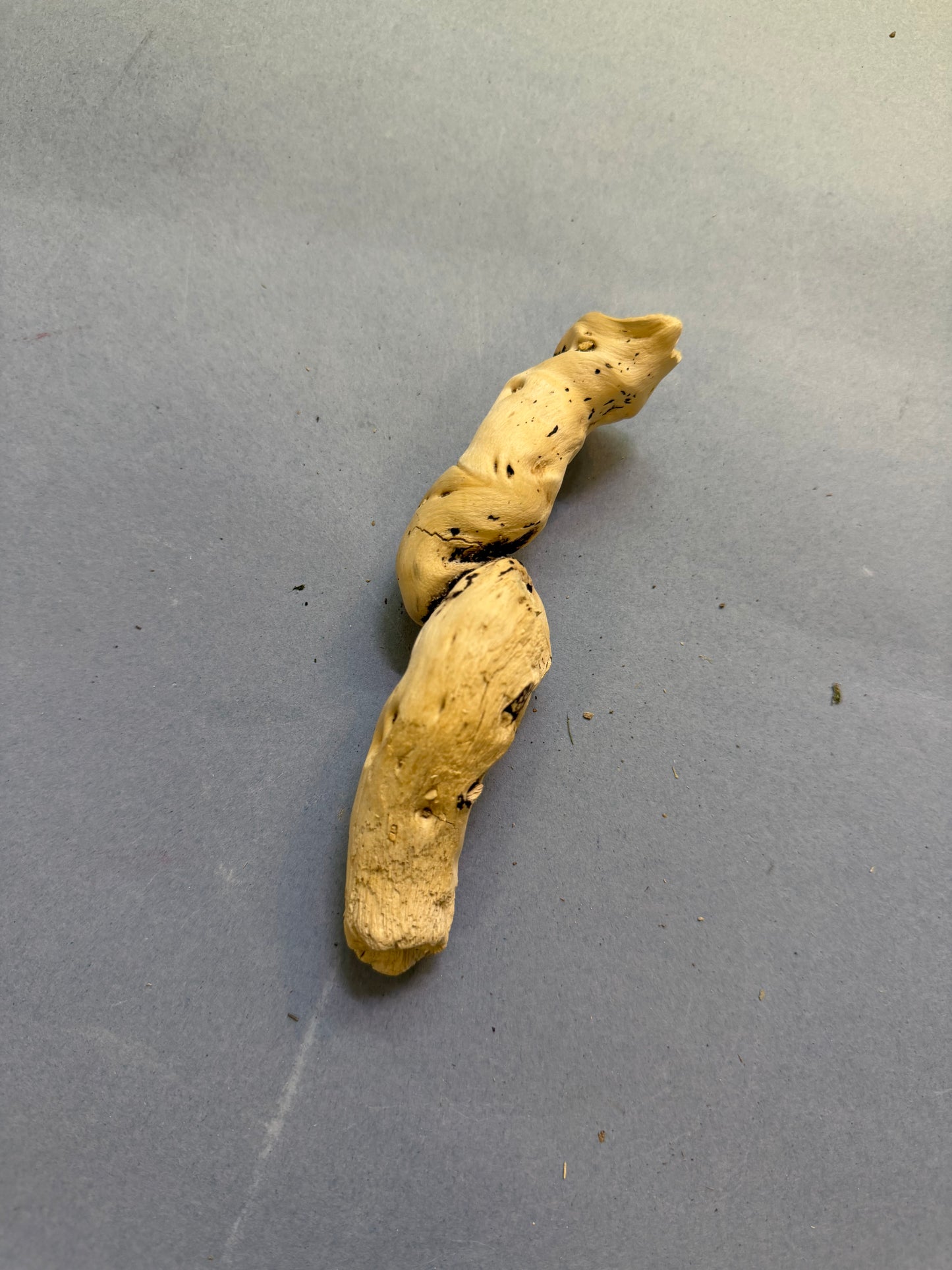 Ramo 5/8 cm