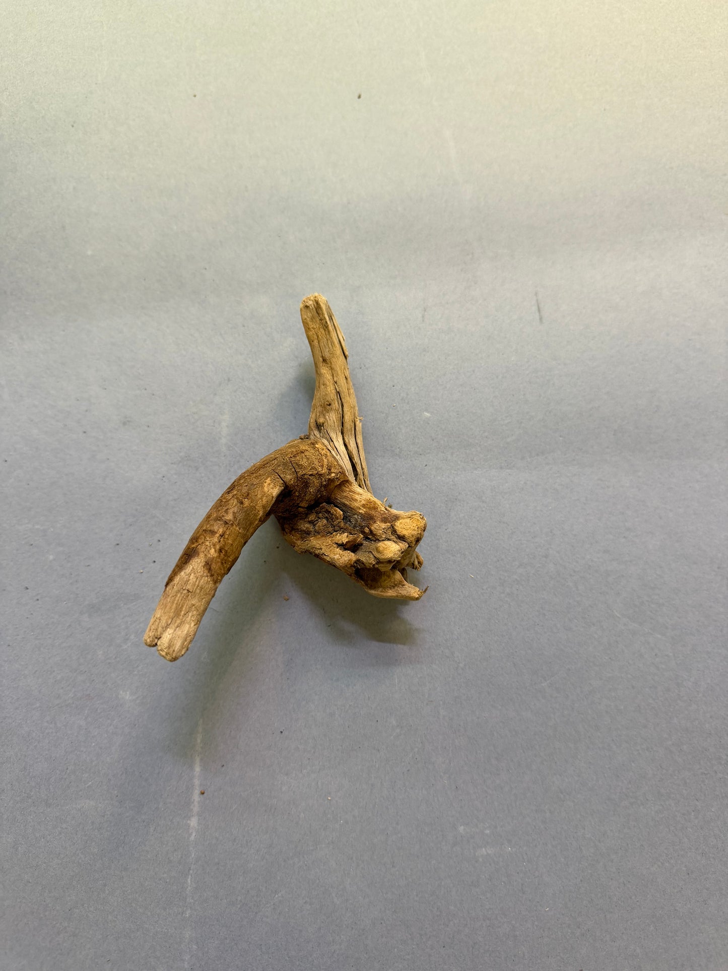 Ramo 5/8 cm