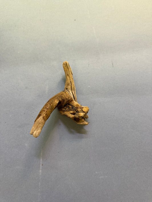 Ramo 5/8 cm