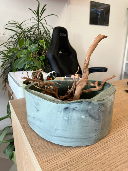 Mini pond - STAGNO